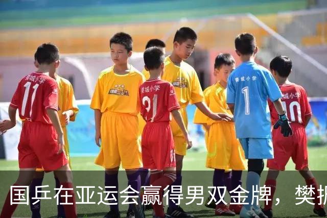 国乒在亚运会赢得男双金牌，樊振东在德国继续征战
